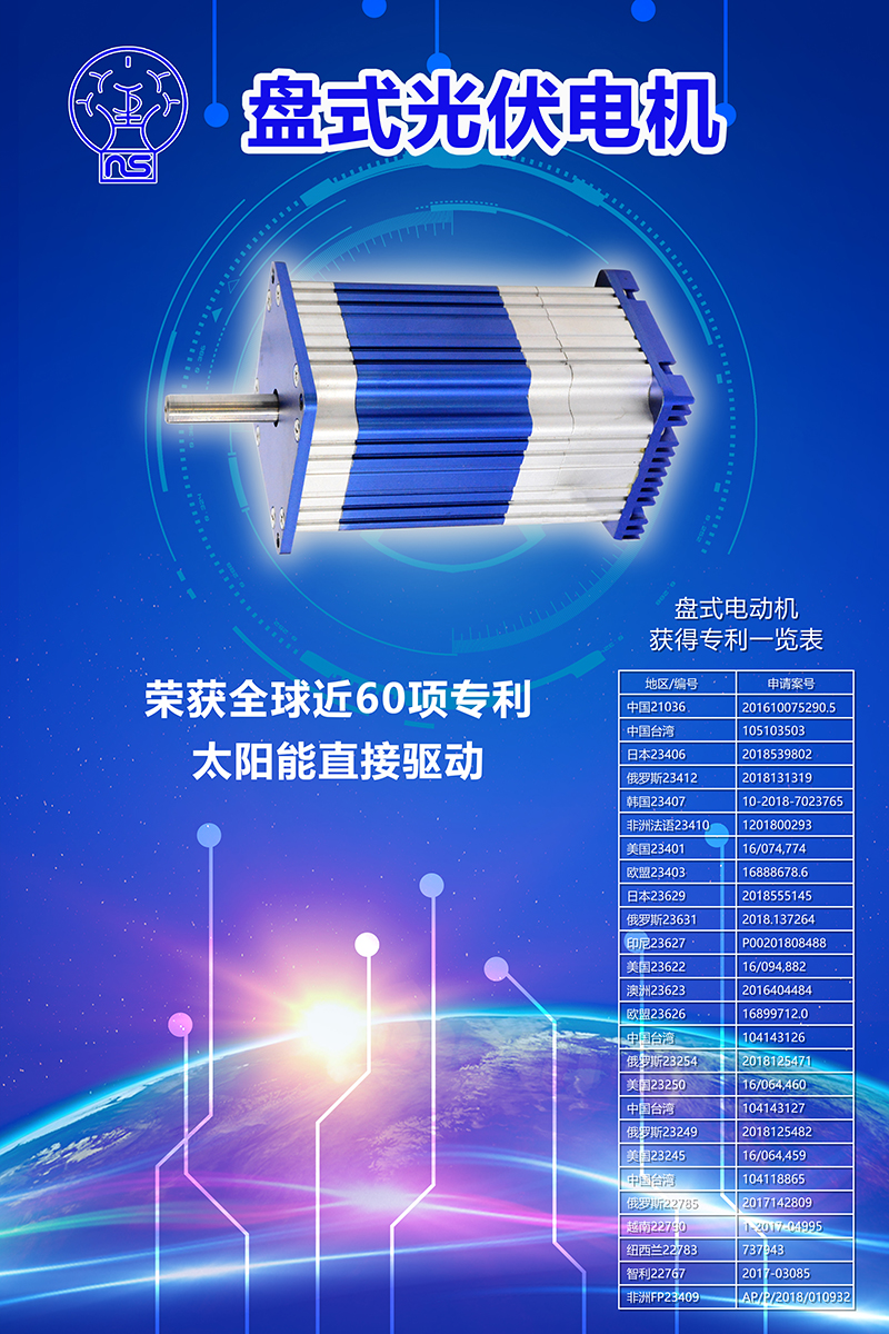 盤式光伏電機(jī)(圖1)