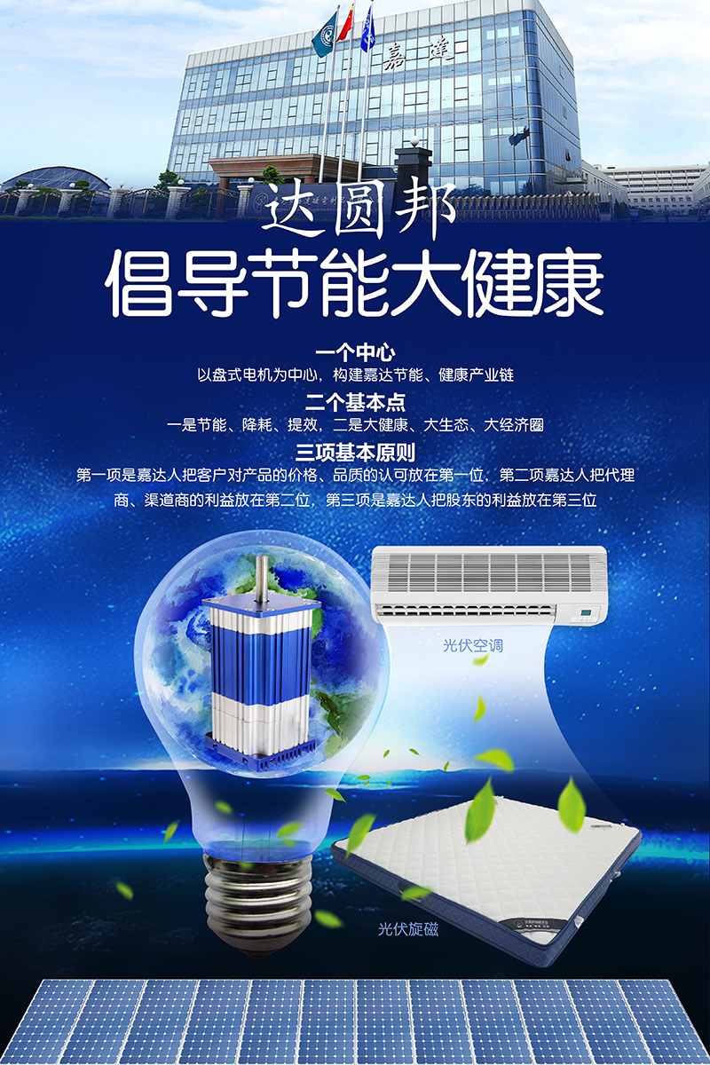 盤式光伏電機(jī)(圖2)