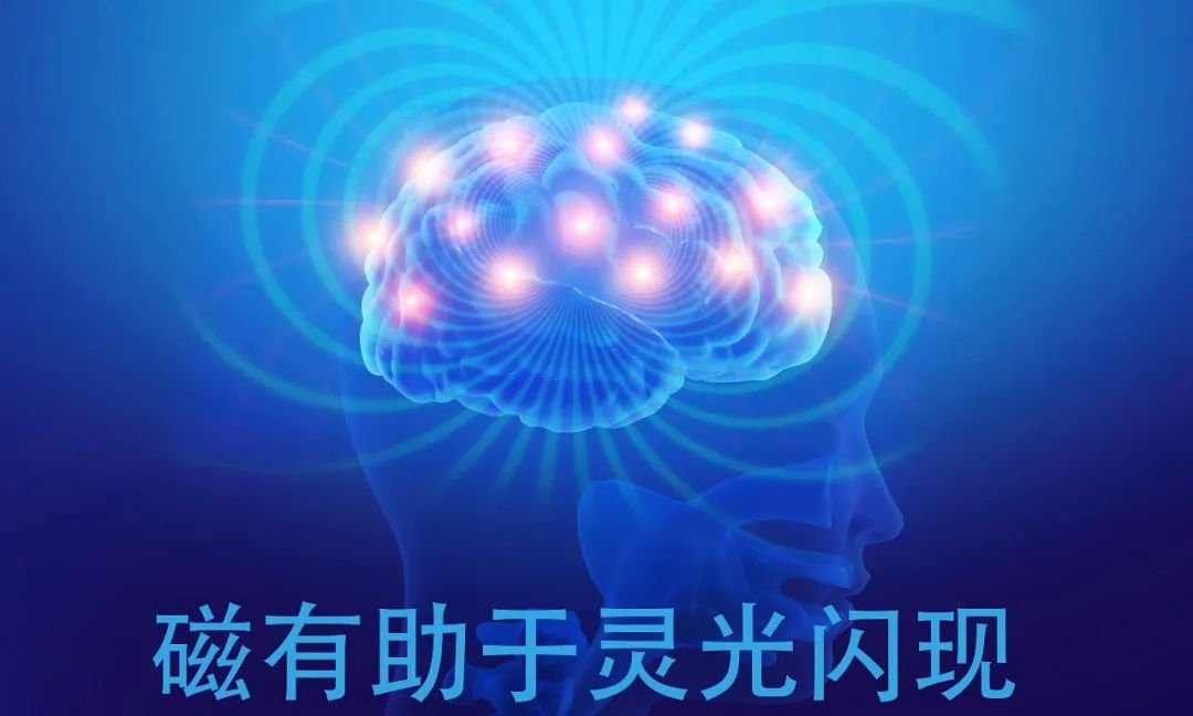 達(dá)圓邦能量代言帽(圖8)