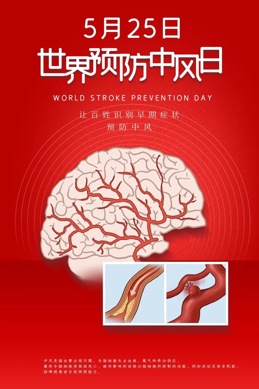 達(dá)圓邦能量代言帽(圖5)